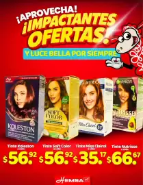 Catálogo Hemsa semana 11 Página 3