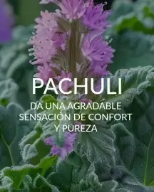 Catálogo Blen semana 11 Página 2