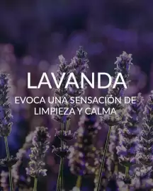 Catálogo Blen semana 11 Página 3