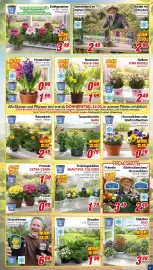 CENTERSHOP Prospekt woche 11 Seite 5