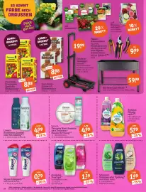 Tegut Prospekt Seite 20