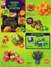 Tegut Prospekt Seite 5