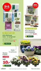 Welkoop folder week 11 Pagina 11