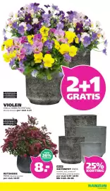 Ranzijn folder Pagina 13