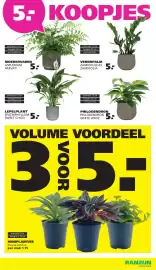 Ranzijn folder Pagina 15