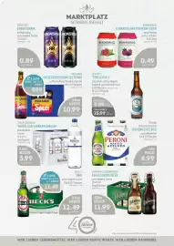 Edeka Struve Prospekt woche 11 Seite 13