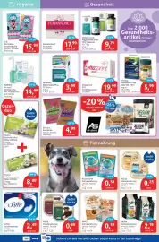 Budni Prospekt woche 12 Seite 5