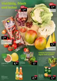 KONSUM Prospekt woche 11 Seite 5