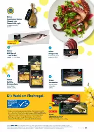 Lidl Prospekt Seite 29