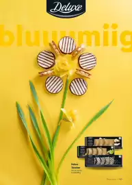 Lidl Prospekt Seite 41