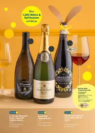 Lidl Prospekt Seite 43