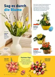 Lidl Prospekt Seite 8