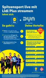 Lidl Prospekt woche 12 Seite 45