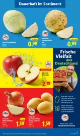 Lidl Prospekt woche 12 Seite 5