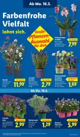 Lidl Prospekt woche 12 Seite 67