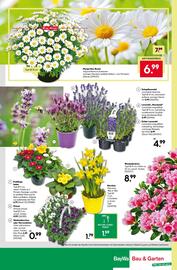 BayWa Prospekt woche 11 Seite 16