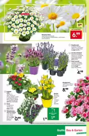 BayWa Prospekt woche 11 Seite 16