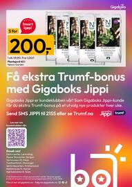 Gigaboks kundeavis uke 11 Side 10