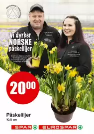 Spar kundeavis Side 19