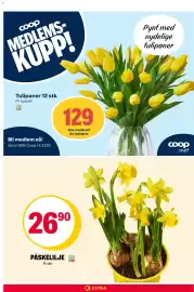 Coop Prix kundeavis uke 11 Side 24