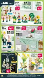 Netto DE folder week 11 Pagina 24