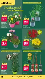 Netto DE folder week 11 Pagina 36