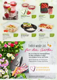 Dornseifer Prospekt woche 11 Seite 6