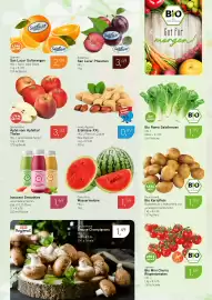 Dornseifer Prospekt woche 11 Seite 7