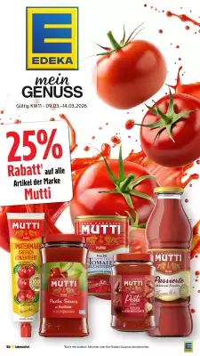Edeka Stenger Prospekt (gültig bis 14-03)