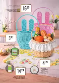 Dino gazetka Strona 13