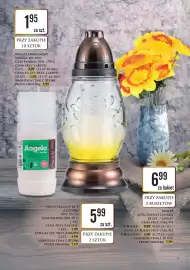 Dino gazetka Strona 23