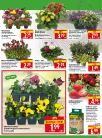 Herkules Baumarkt Prospekt woche 11 Seite 2