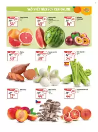 Globus leták týden 11 Strana 20