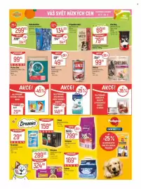 Globus leták týden 11 Strana 33