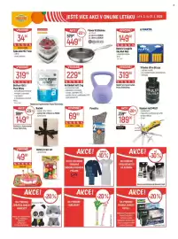 Globus leták týden 11 Strana 44