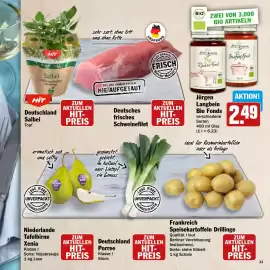 HIT Prospekt Seite 11