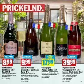 HIT Prospekt Seite 37