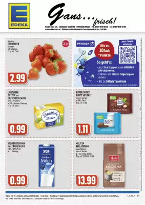 Edeka Prospekt (gültig bis 14-03)