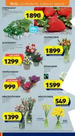 ALDI akciós újság hét 11 Oldal 48