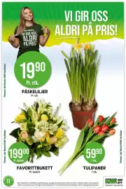 Kiwi kundeavis uke 11 Side 8