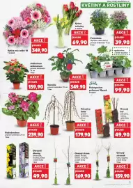 Kaufland leták týden 11 Strana 11