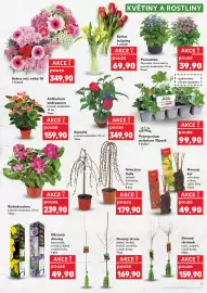 Kaufland leták týden 11 Strana 11