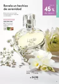 Catálogo Oriflame Página 19
