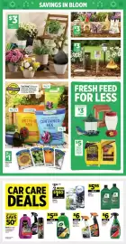 Dollar General weekly ad week 11 Page 16