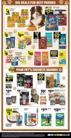 Dollar General weekly ad week 11 Page 17