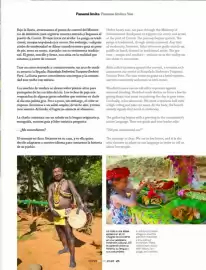 Catálogo Copa Airlines Página 25