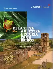 Catálogo Copa Airlines Página 38