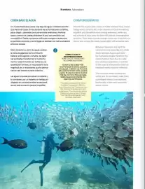 Catálogo Copa Airlines Página 74