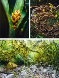 Catálogo Copa Airlines Página 77