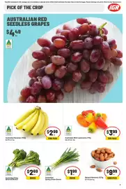 IGA catalogue week 11 Page 8